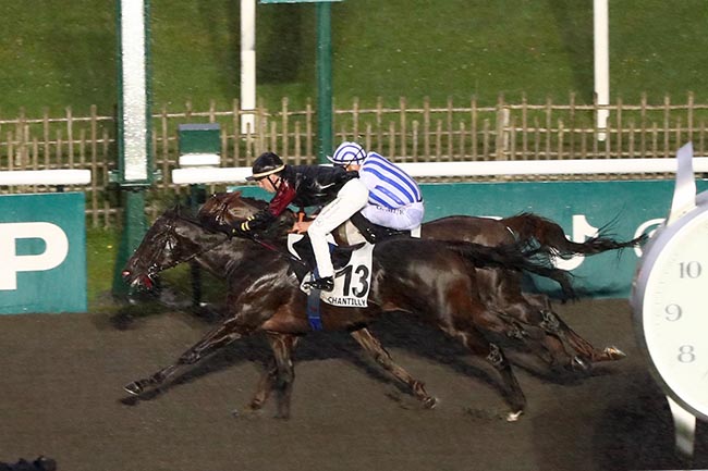 Photo d'arrivée de la course pmu PRIX DE CHAUMONT à CHANTILLY le Jeudi 17 octobre 2024