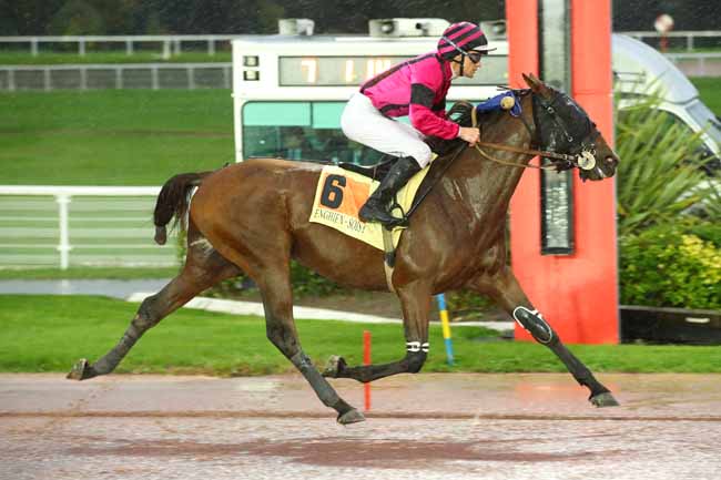 Photo d'arrivée de la course pmu PRIX DE LA PORTE SAINT-DENIS à ENGHIEN le Jeudi 17 octobre 2024