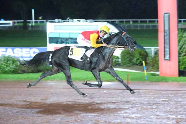 Photo d'arrivée de la course pmu PRIX DE LA MUETTE à ENGHIEN le Jeudi 17 octobre 2024