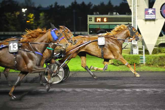 Photo d'arrivée de la course pmu PRIX ASPASIA à PARIS-VINCENNES le Vendredi 18 octobre 2024