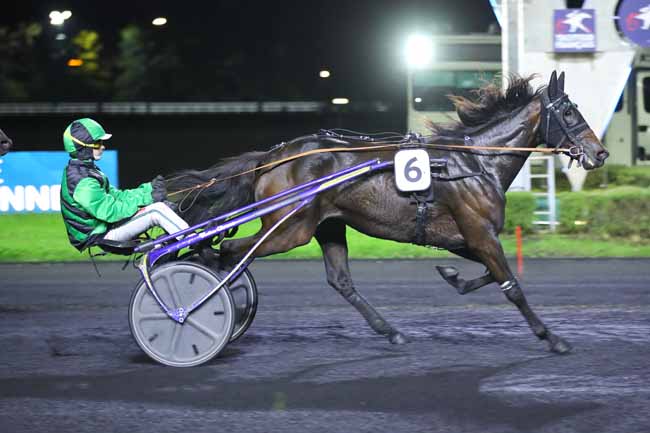 Photo d'arrivée de la course pmu PRIX GUDRUN à PARIS-VINCENNES le Vendredi 18 octobre 2024