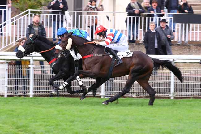 Photo d'arrivée de la course pmu PRIX CARMARTHEN à AUTEUIL le Samedi 19 octobre 2024