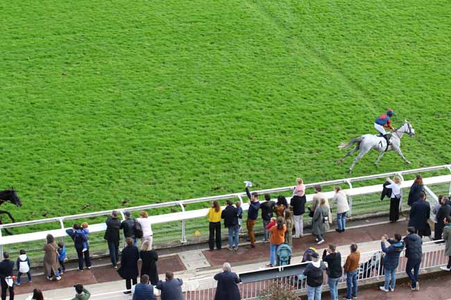 Photo d'arrivée de la course pmu PRIX DU PRINCE D'ECOUEN à AUTEUIL le Samedi 19 octobre 2024