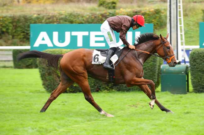 Photo d'arrivée de la course pmu PRIX HEROS XII à AUTEUIL le Samedi 19 octobre 2024