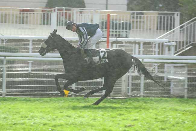 Photo d'arrivée de la course pmu PRIX SOULANGE-BODIN à AUTEUIL le Samedi 19 octobre 2024