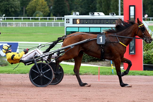 Photo d'arrivée de la course pmu PRIX DE LA PLACE SAINT-CHARLES à ENGHIEN le Samedi 19 octobre 2024