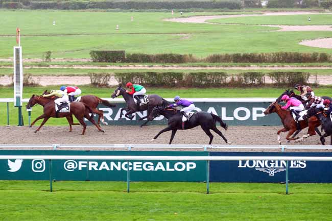 Photo d'arrivée de la course pmu PRIX DE LA FORET DE CINGLAIS à DEAUVILLE le Lundi 21 octobre 2024