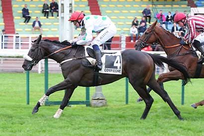 Photo d'arrivée de la course pmu PRIX DANIEL MERLE à COMPIEGNE le Lundi 21 octobre 2024