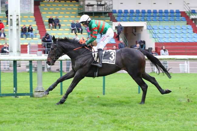 Photo d'arrivée de la course pmu PRIX DE BOURGES à COMPIEGNE le Lundi 21 octobre 2024