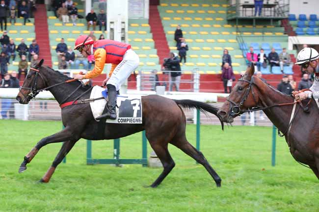 Photo d'arrivée de la course pmu PRIX DE COYE à COMPIEGNE le Lundi 21 octobre 2024