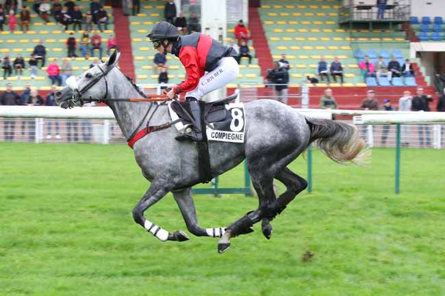 Photo d'arrivée de la course pmu PRIX BULAN à COMPIEGNE le Lundi 21 octobre 2024