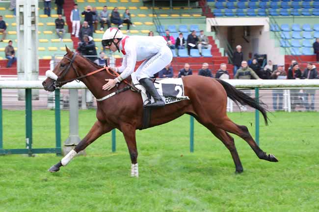 Photo d'arrivée de la course pmu PRIX FALZAREGO à COMPIEGNE le Lundi 21 octobre 2024