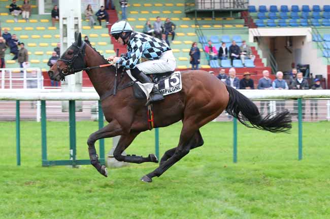 Photo d'arrivée de la course pmu PRIX JUMNA à COMPIEGNE le Lundi 21 octobre 2024