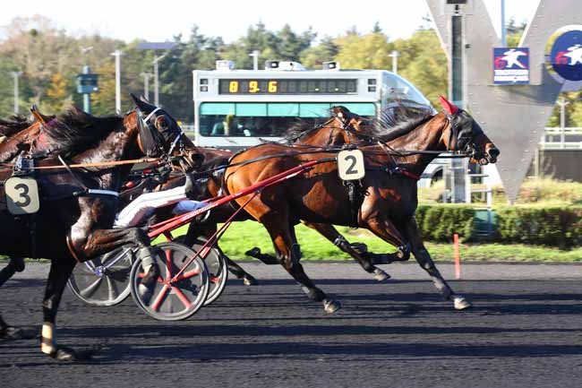 Photo d'arrivée de la course pmu PRIX ALHENA à PARIS-VINCENNES le Mardi 22 octobre 2024