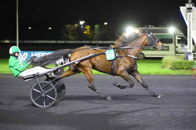 Photo d'arrivée de la course pmu PRIX MAJA à PARIS-VINCENNES le Mardi 22 octobre 2024