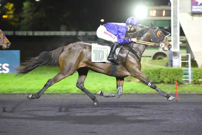 Photo d'arrivée de la course pmu PRIX CHRYSEIS à PARIS-VINCENNES le Mardi 22 octobre 2024