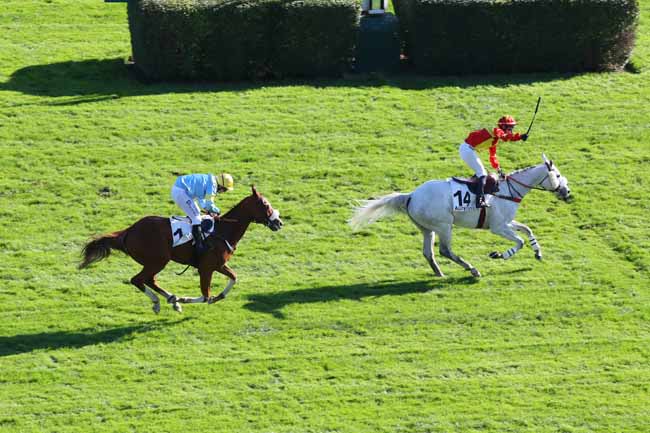 Photo d'arrivée de la course pmu PRIX MONTGOMERY à AUTEUIL le Jeudi 24 octobre 2024