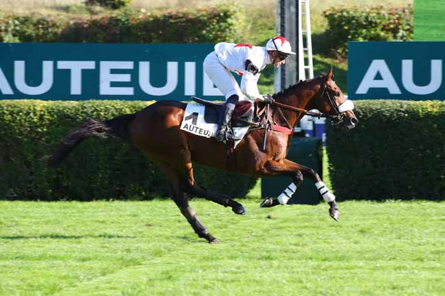 Photo d'arrivée de la course pmu PRIX NOIRO à AUTEUIL le Jeudi 24 octobre 2024