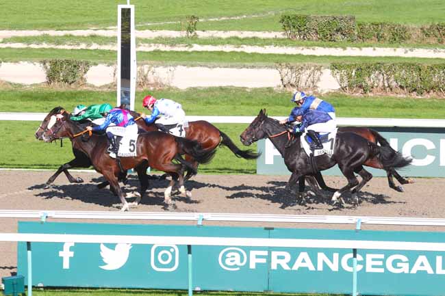 Photo d'arrivée de la course pmu PRIX D'AUDRIEU à DEAUVILLE le Jeudi 24 octobre 2024