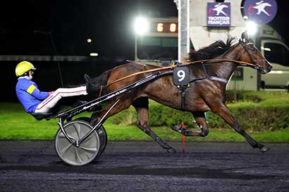 Photo d'arrivée de la course pmu PRIX URANIE à PARIS-VINCENNES le Vendredi 25 octobre 2024