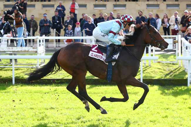 Photo d'arrivée de la course pmu PRIX VILLE BONNEBOSQ (PRIX DE LA MARE A TOUQUES) à CLAIREFONTAINE le Vendredi 25 octobre 2024