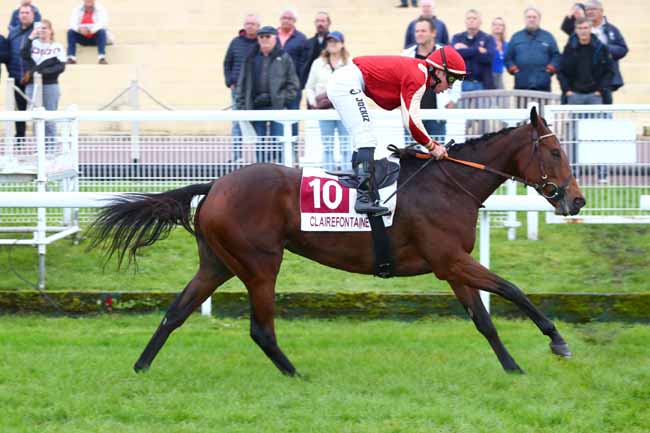 Photo d'arrivée de la course pmu PRIX GENYBET SUPER TOP 5 (PRIX DU LIEU BILL) à CLAIREFONTAINE le Vendredi 25 octobre 2024