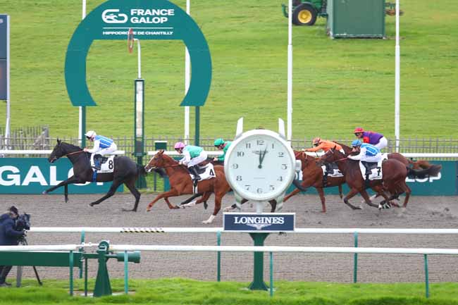 Photo d'arrivée de la course pmu PRIX DU MONT CESAR à CHANTILLY le Mardi 12 novembre 2024