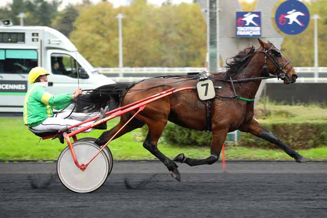 Photo d'arrivée de la course pmu PRIX D'HOURTIN à PARIS-VINCENNES le Mardi 12 novembre 2024