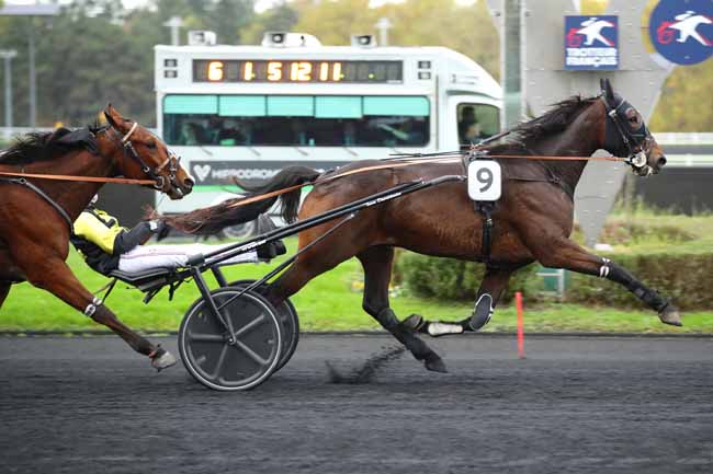 Photo d'arrivée de la course pmu PRIX DE BRETIGNY à PARIS-VINCENNES le Mardi 12 novembre 2024