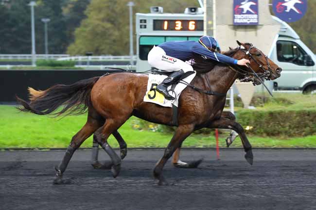 Photo d'arrivée de la course pmu PRIX CENERI FORCINAL à PARIS-VINCENNES le Mardi 12 novembre 2024