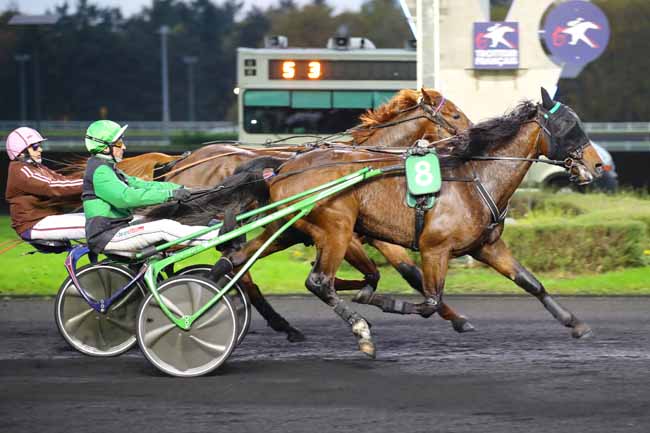 Photo d'arrivée de la course pmu PRIX DES TULIPES à PARIS-VINCENNES le Mardi 12 novembre 2024