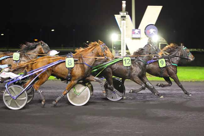 Photo d'arrivée de la course pmu PRIX DE CASTRES à PARIS-VINCENNES le Mardi 12 novembre 2024