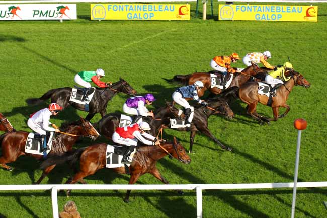 Photo d'arrivée de la course pmu PRIX DE VICHY à FONTAINEBLEAU le Jeudi 14 novembre 2024