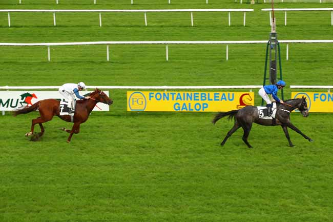 Photo d'arrivée de la course pmu PRIX DE LA PORTE NADON à FONTAINEBLEAU le Jeudi 14 novembre 2024