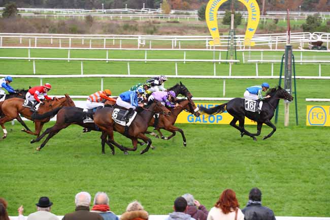 Photo d'arrivée de la course pmu PRIX DE LA SEINE-ET-MARNE à FONTAINEBLEAU le Jeudi 14 novembre 2024