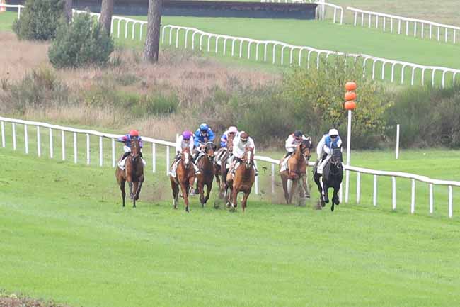 Photo d'arrivée de la course pmu PRIX DENISY à FONTAINEBLEAU le Jeudi 14 novembre 2024