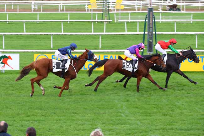 Photo d'arrivée de la course pmu PRIX DES CEDRES à FONTAINEBLEAU le Jeudi 14 novembre 2024