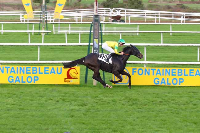 Photo d'arrivée de la course pmu PRIX DES ACACIAS à FONTAINEBLEAU le Jeudi 14 novembre 2024