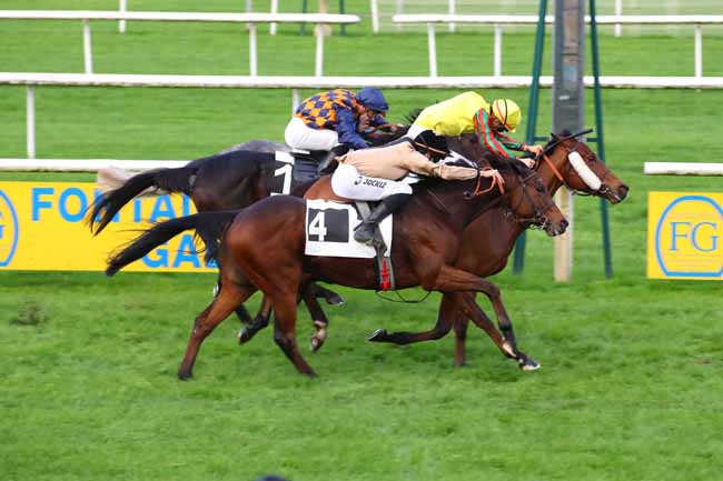 Photo d'arrivée de la course pmu PRIX DE LA CROIX DU GRAND VENEUR à FONTAINEBLEAU le Jeudi 14 novembre 2024