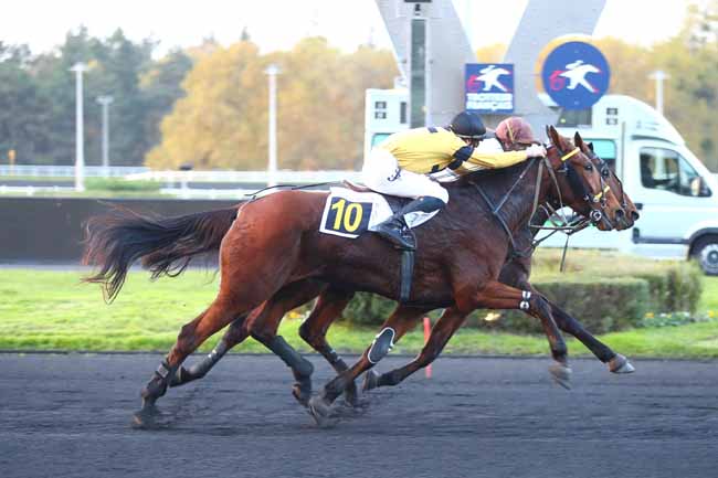 Photo d'arrivée de la course pmu PRIX ALBERT LIBEER à PARIS-VINCENNES le Jeudi 14 novembre 2024