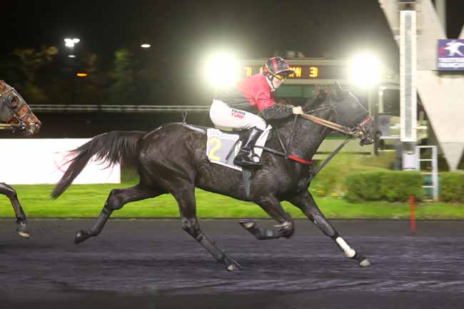 Photo d'arrivée de la course pmu PRIX ASSOCIATION DON DU SANG (PRIX FRIZZA) à PARIS-VINCENNES le Vendredi 15 novembre 2024