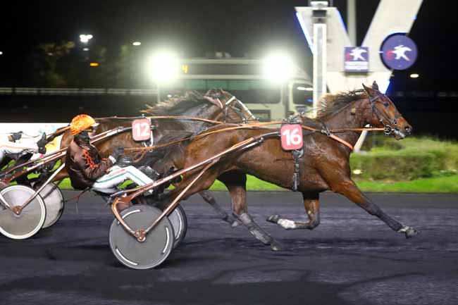 Photo d'arrivée de la course pmu PRIX FONTENAYTHON 94 (PRIX DIKE) à PARIS-VINCENNES le Vendredi 15 novembre 2024