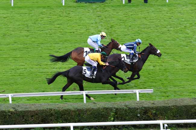 Photo d'arrivée de la course pmu PRIX PHARSALE à SAINT CLOUD le Vendredi 15 novembre 2024