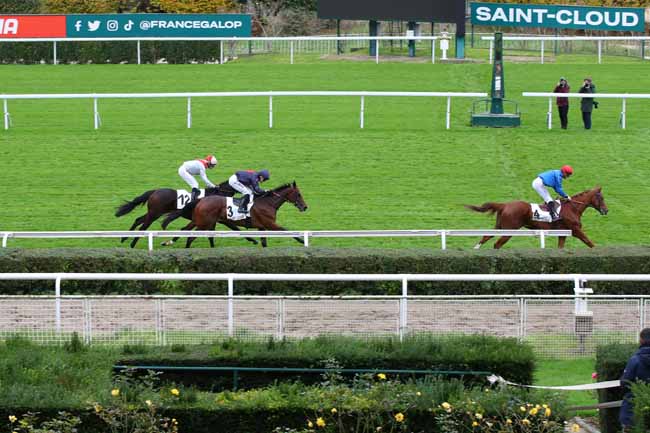 Photo d'arrivée de la course pmu PRIX DU HARAS D'OUILLY à SAINT CLOUD le Vendredi 15 novembre 2024