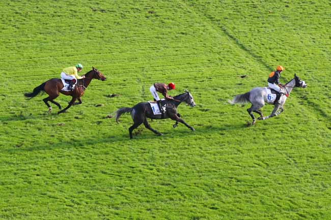 Photo d'arrivée de la course pmu HARAS D'ETREHAM - PRIX MAGALEN BRYANT à AUTEUIL le Samedi 16 novembre 2024