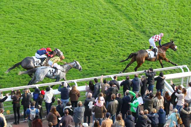 Photo d'arrivée de la course pmu PRIX COUNT SCHOMBERG à AUTEUIL le Samedi 16 novembre 2024