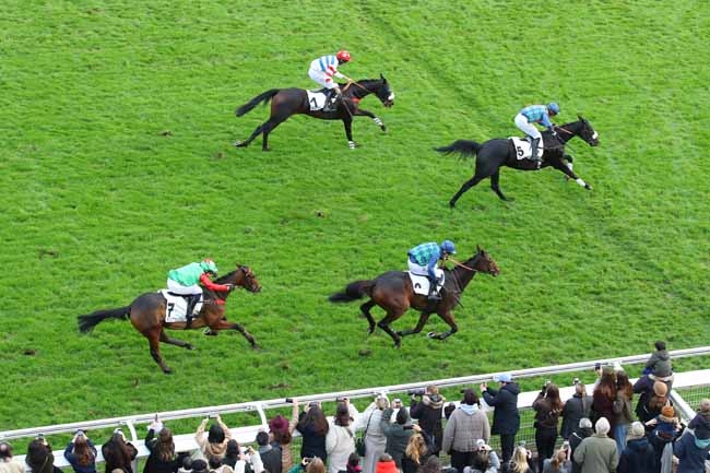 Photo d'arrivée de la course pmu PRIX SERGE LANDON - GRAND PRIX D'AUTOMNE à AUTEUIL le Samedi 16 novembre 2024