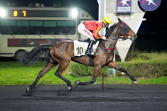 Photo d'arrivée de la course pmu PRIX DU CHER à PARIS-VINCENNES le Dimanche 17 novembre 2024