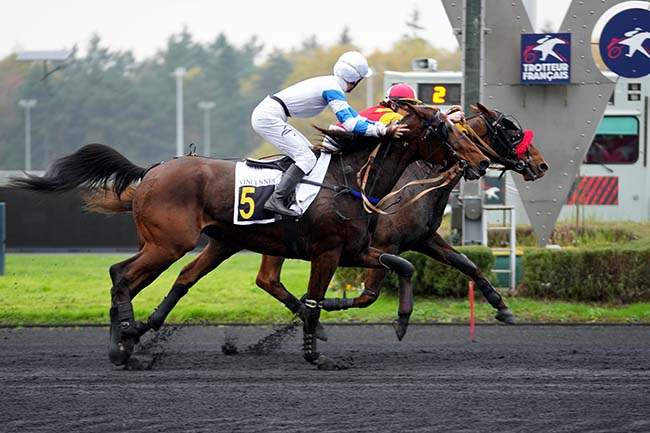 Photo d'arrivée de la course pmu PRIX DE BRIOUDE à PARIS-VINCENNES le Dimanche 17 novembre 2024