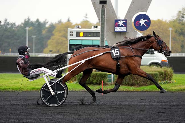 Photo d'arrivée de la course pmu PRIX D'AIGUES-MORTES à PARIS-VINCENNES le Dimanche 17 novembre 2024